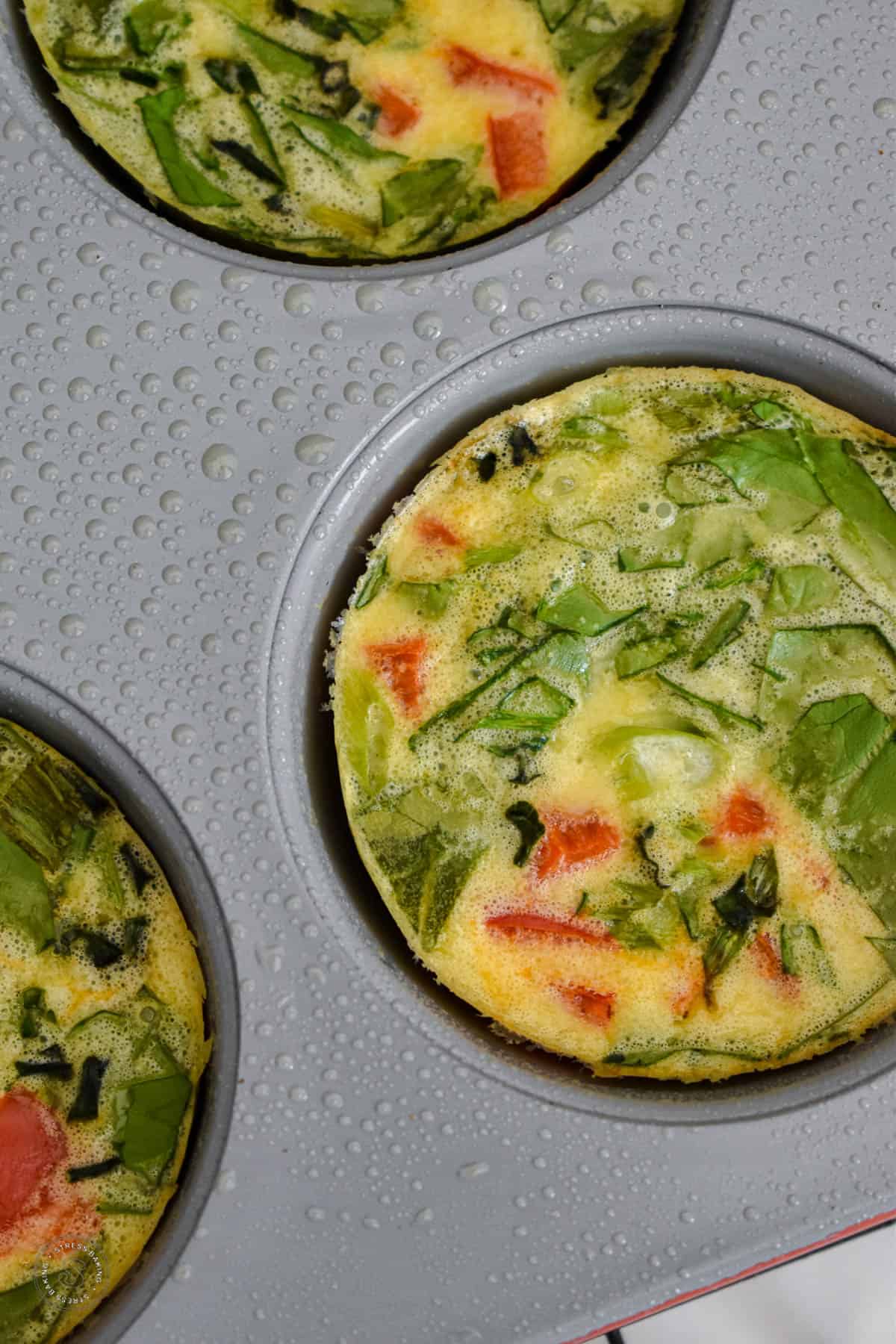 High Protein Egg Bites Recipe High Protein Kitchen