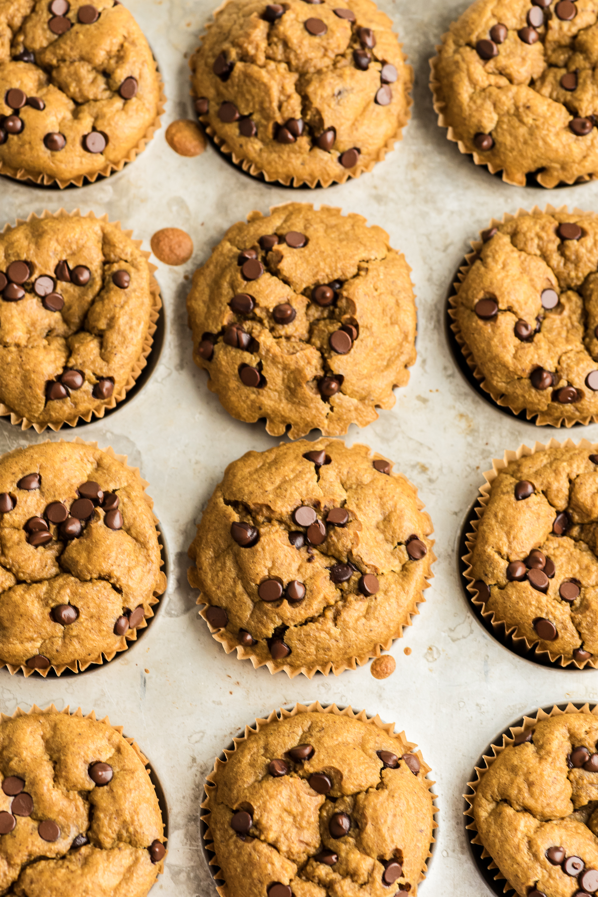 Cottage cheese pumpkin muffins in a muffin tin.